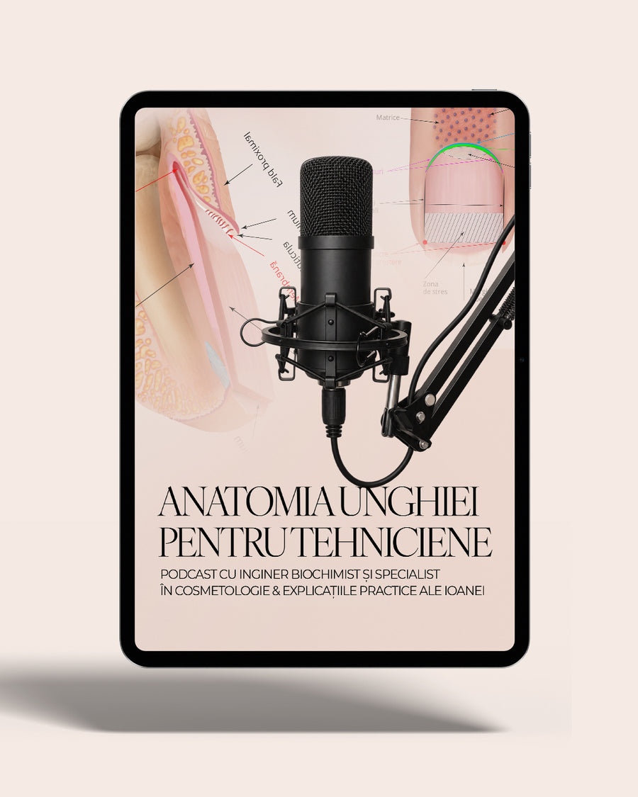 Anatomia unghiei pentru tehniciene