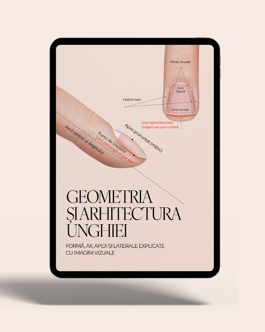 Geometria și arhitectura unghiei