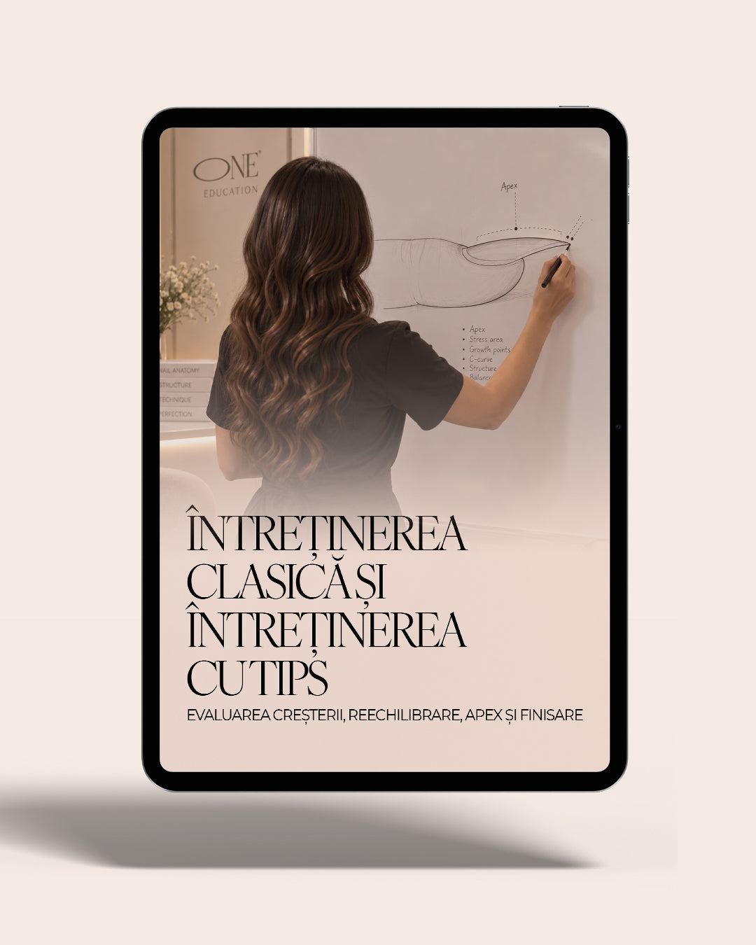 Întreținerea clasică și întreținerea cu tips